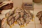 Kuwait City Fish Stand